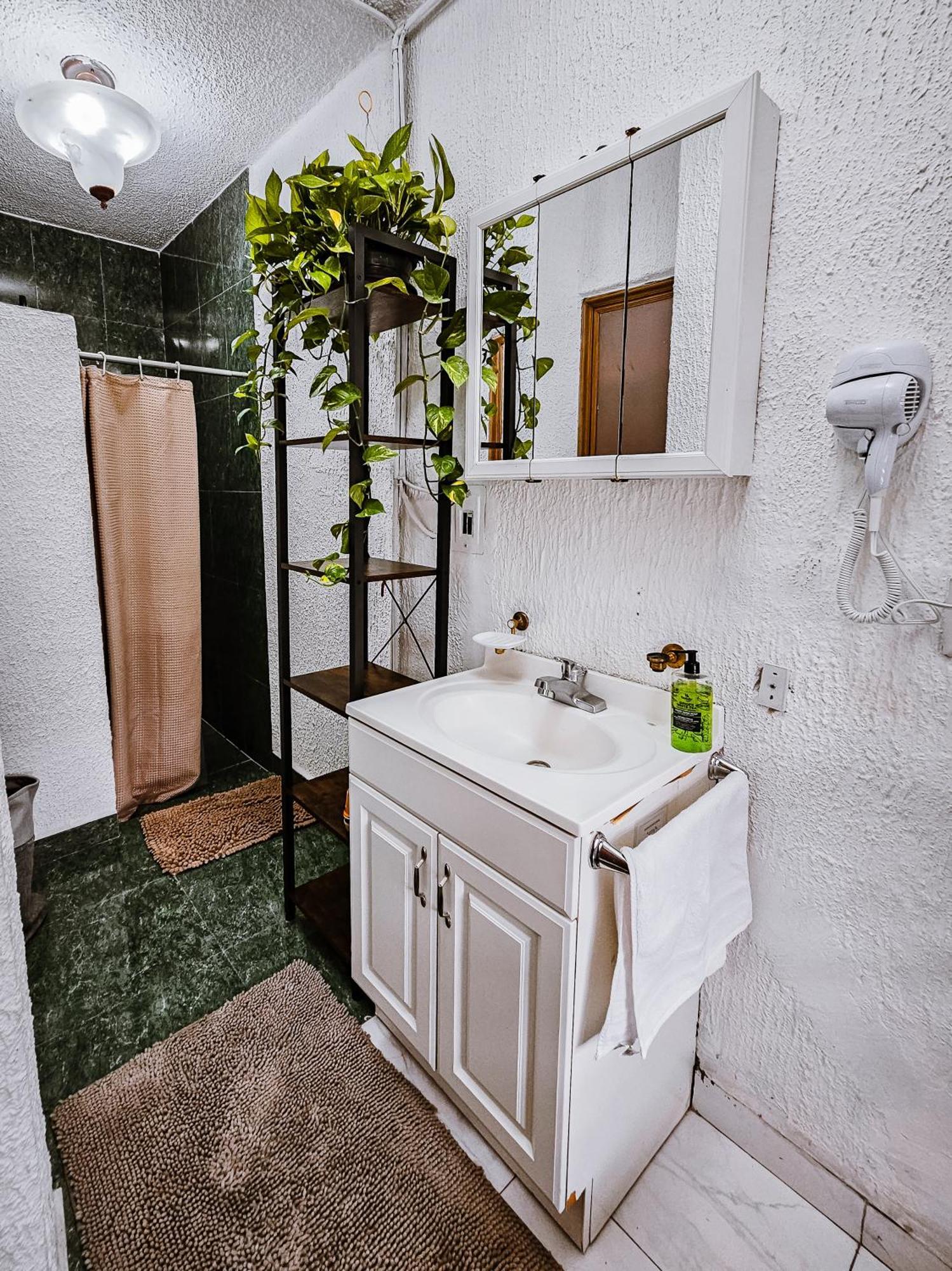Habitacion Con Bano Privado B, Centro De Coyoacan Мехико Номер фото