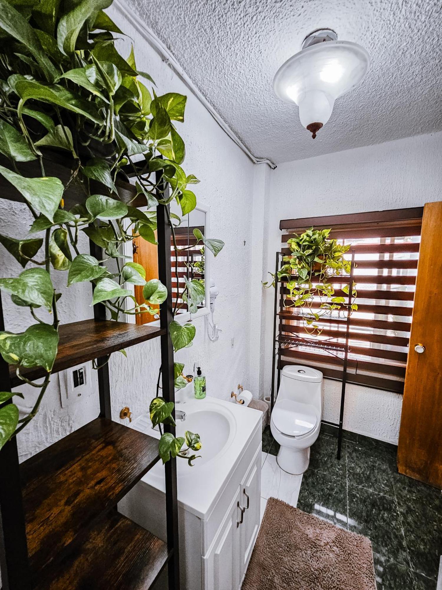 Habitacion Con Bano Privado B, Centro De Coyoacan Мехико Экстерьер фото